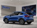 Daumennagel 4 - Ford Kuga Winter-Paket + Ganzjahresreifen