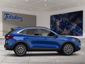 Daumennagel 6 - Ford Kuga Winter-Paket + Ganzjahresreifen