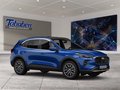 Daumennagel 7 - Ford Kuga Winter-Paket + Ganzjahresreifen
