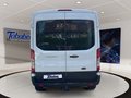 Daumennagel 6 - Ford Transit 350 L2 FWD + beheizte Frontscheibe
