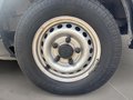 Daumennagel 9 - Ford Transit 350 L2 FWD + beheizte Frontscheibe