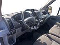 Daumennagel 10 - Ford Transit 350 L2 FWD + beheizte Frontscheibe