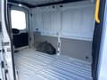 Daumennagel 14 - Ford Transit 350 L2 FWD + beheizte Frontscheibe