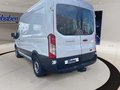 Daumennagel 17 - Ford Transit 350 L2 FWD + beheizte Frontscheibe