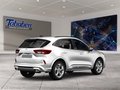 Daumennagel 2 - Ford Kuga ST-Line X + Winter-Paket + AHK