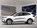 Daumennagel 3 - Ford Kuga ST-Line X + Winter-Paket + AHK