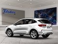 Daumennagel 4 - Ford Kuga ST-Line X + Winter-Paket + AHK