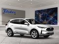 Daumennagel 7 - Ford Kuga ST-Line X + Winter-Paket + AHK