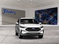 Daumennagel 8 - Ford Kuga ST-Line X + Winter-Paket + AHK