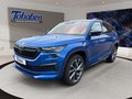 Daumennagel 17 - Skoda Kodiaq Fahrassistenz-Paket + 360° Kamerasystem +