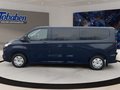 Daumennagel 8 - Ford Transit Custom LED Laderaumleuchte + Klima