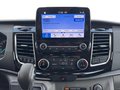 Daumennagel 12 - Ford Tourneo Custom L2 Titanium X + AHK + ACC