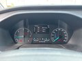 Daumennagel 23 - Ford Tourneo Custom L2 Titanium X + AHK + ACC