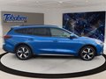 Daumennagel 4 - Ford Focus 1.5 EcoBlue Active (EURO 6e)