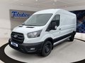Daumennagel 3 - Ford Transit