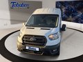 Daumennagel 2 - Ford Transit FT 350 (TTS) 2.0 TDCi DPF 350 L3 Trend F