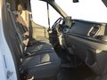 Daumennagel 13 - Ford Transit FT 350 (TTS) 2.0 TDCi DPF 350 L3 Trend F
