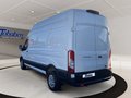 Daumennagel 6 - Ford Transit FT 350 (TTS) 2.0 TDCi DPF 350 L3 Trend F
