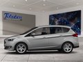 Daumennagel 3 - Ford C-Max AHK + Navi + Winterpaket