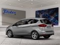 Daumennagel 4 - Ford C-Max AHK + Navi + Winterpaket