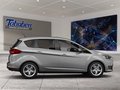 Daumennagel 6 - Ford C-Max AHK + Navi + Winterpaket