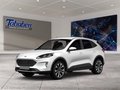 Daumennagel 1 - Ford Kuga ST-Line + Winter Paket