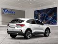 Daumennagel 2 - Ford Kuga ST-Line + Winter Paket
