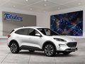 Daumennagel 7 - Ford Kuga ST-Line + Winter Paket