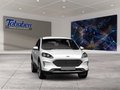 Daumennagel 8 - Ford Kuga ST-Line + Winter Paket