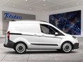 Daumennagel 6 - Ford Transit Courier Trend Kasten