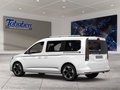 Daumennagel 4 - Ford Grand Tourneo Connect Ganzjahresreifen + Anhänge