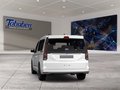 Daumennagel 5 - Ford Grand Tourneo Connect Ganzjahresreifen + Anhänge