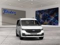 Daumennagel 8 - Ford Grand Tourneo Connect Ganzjahresreifen + Anhänge
