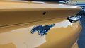 Daumennagel 28 - Ford MUSTANG MACH-E Premium Extended Range