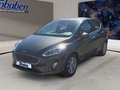Daumennagel 1 - Ford Fiesta Titanium + Winterpaket + PDC