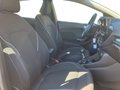 Daumennagel 14 - Ford Fiesta Titanium + Winterpaket + PDC