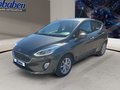 Daumennagel 17 - Ford Fiesta Titanium + Winterpaket + PDC