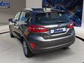 Daumennagel 18 - Ford Fiesta Titanium + Winterpaket + PDC