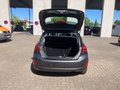 Daumennagel 21 - Ford Fiesta Titanium + Winterpaket + PDC