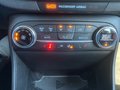 Daumennagel 26 - Ford Fiesta Titanium + Winterpaket + PDC