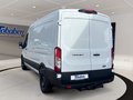 Daumennagel 12 - Ford Transit 350L3H2 Trend Kasten