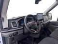 Daumennagel 16 - Ford Transit 350L3H2 Trend Kasten