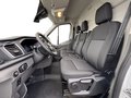 Daumennagel 17 - Ford Transit 350L3H2 Trend Kasten