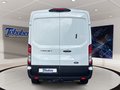 Daumennagel 6 - Ford Transit 350L3H2 Trend Kasten