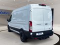 Daumennagel 7 - Ford Transit 350L3H2 Trend Kasten