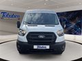 Daumennagel 9 - Ford Transit 350L3H2 Trend Kasten