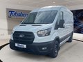 Daumennagel 10 - Ford Transit 350L3H2 Trend Kasten