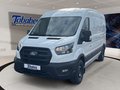 Daumennagel 1 - Ford Transit 350L3H2 Trend Kasten