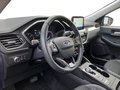 Daumennagel 15 - Ford Kuga Titanium X Winterp.+Shz.+V+H+BT