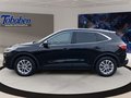 Daumennagel 8 - Ford Kuga Titanium X Winterp.+Shz.+V+H+BT